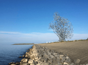 Land Art: Hedendaagse kunst en natuur