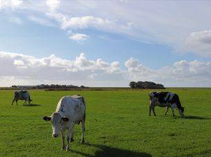 Waarom zou in Twente niet kunnen wat op Schier kan?